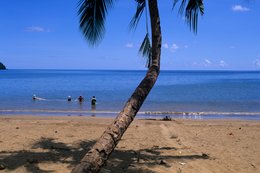 Archipel-des-Comores;-Cocotier;-Filet;-France;-Kaleidos;-Kaleidos-images;-La-parole-à-limage;-Laurent-Abad;-Mayotte;-Mer;-Océan-Indien;-Paysage;-Pêche;-Plage;-Stories-Pictures